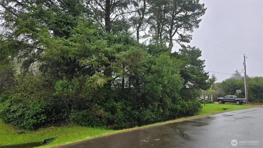 248 Wishkah Street #230, Ocean Shores, WA 98569 - #2