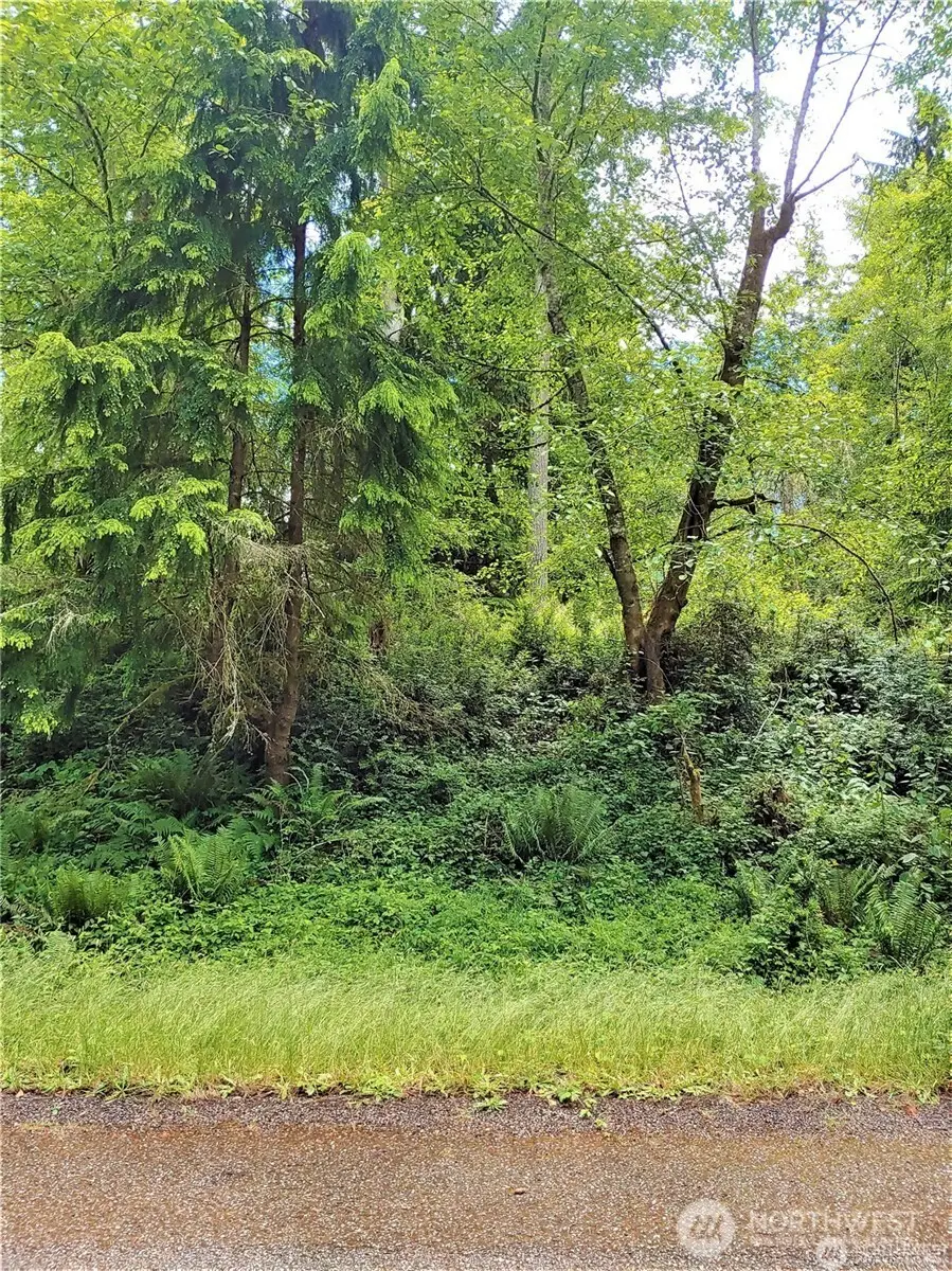 11909 Country Club Drive #46 & 47, Anderson Island, WA 98303 - #1