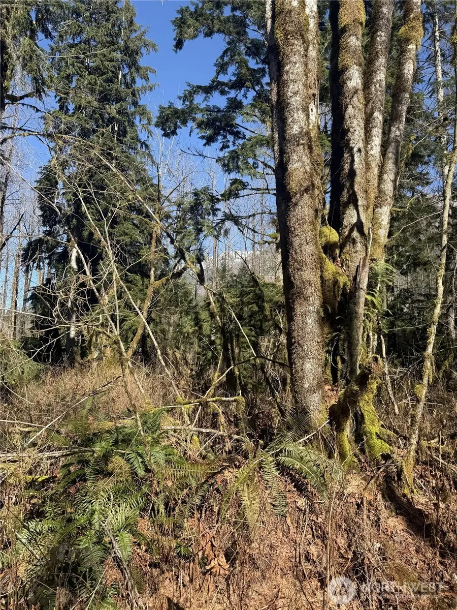 63602 190th Street Ne #7809400010, Baring, WA 98224 - #3