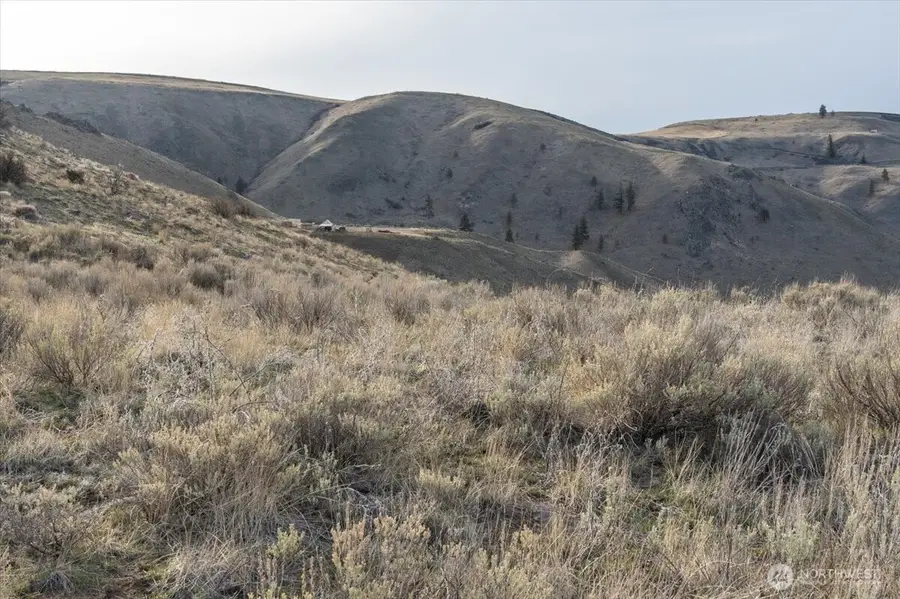 0 Parcel C - 13 Honeygold Drive, Orondo, WA 98843 - #2