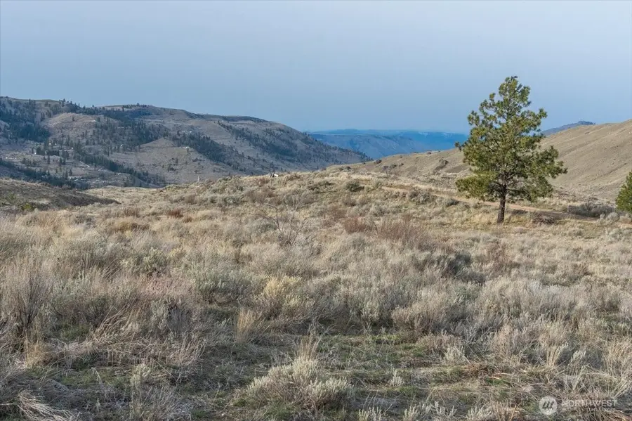 0 Parcel A - 13 Honeygold Drive, Orondo, WA 98843 - #2