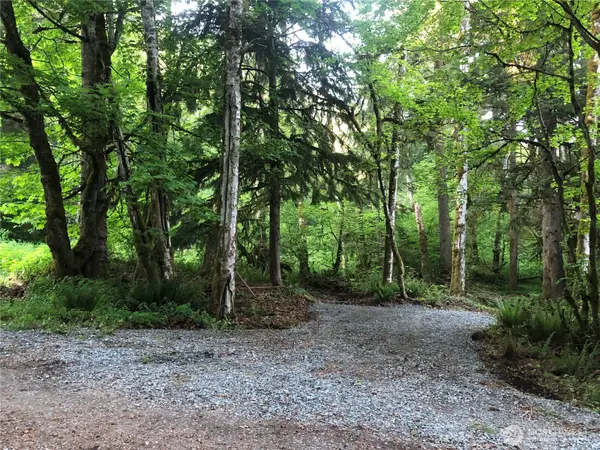 31704 Mount Tahoma Canyon Road, Ashford, WA 98304