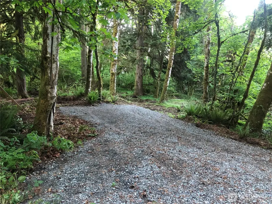 31704 Mount Tahoma Canyon Road, Ashford, WA 98304 - #3