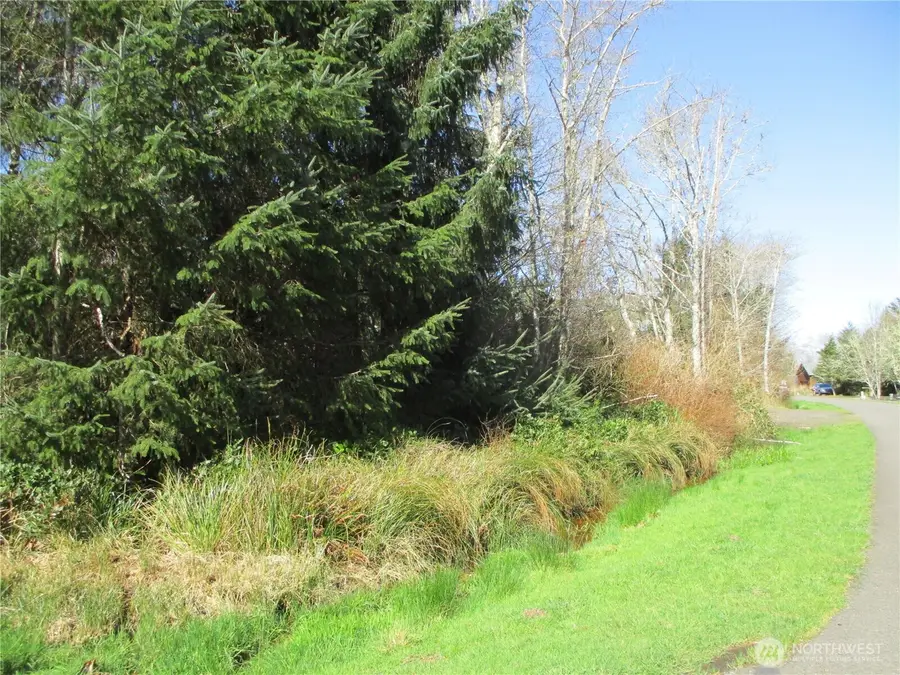 301 Olympic View #17, Ocean Shores, WA 98569 - #3