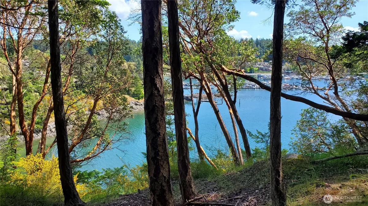 0 Harborview Lane #2, Eastsound, WA 98243 - #1