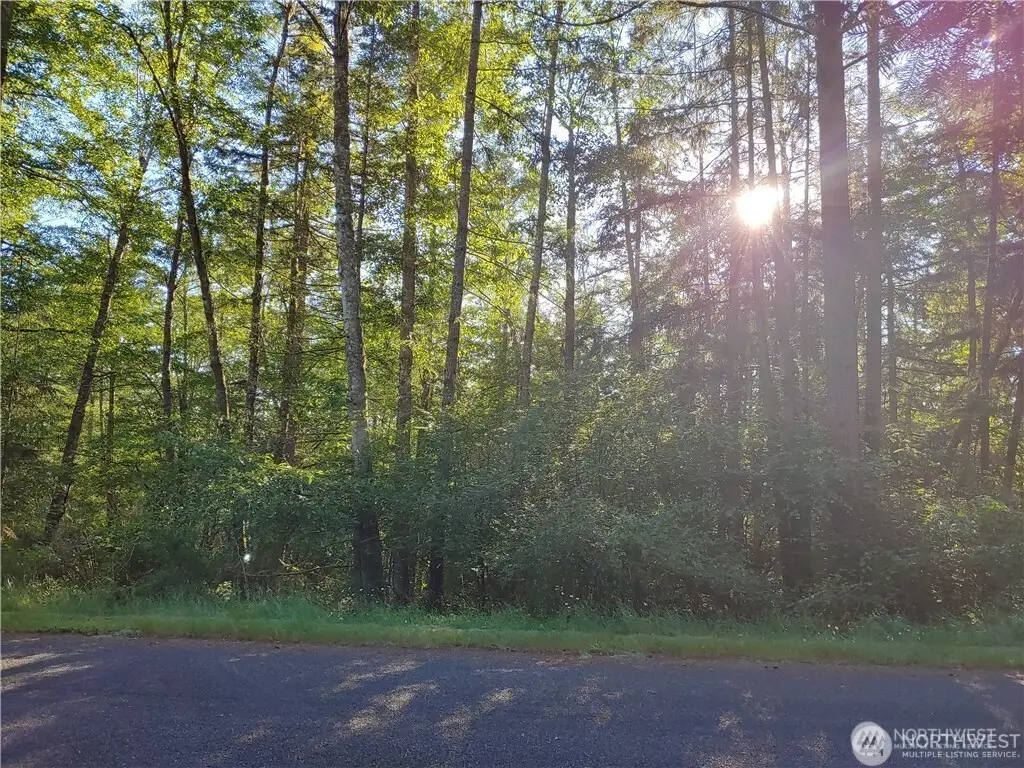 8906 130th Avenue Ct #188, Anderson Island, WA 98303 - #1