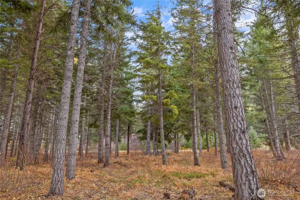 230 Goat Creek Lane #9-13, Cle Elum, WA 98922 - #1