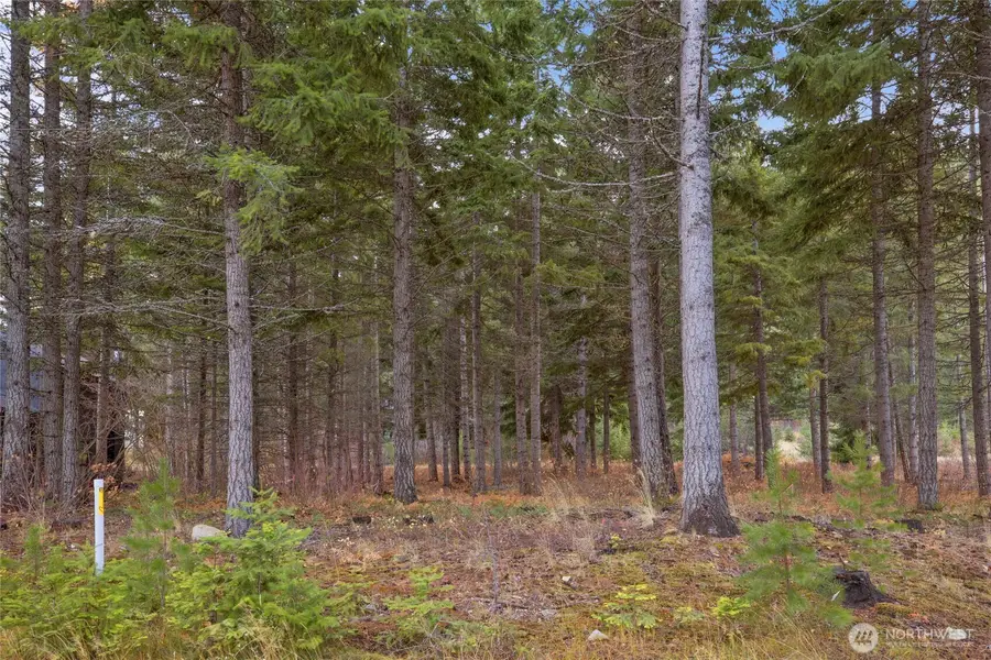 230 Goat Creek Lane #9-13, Cle Elum, WA 98922 - #2