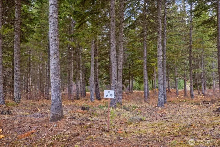 230 Goat Creek Lane #9-13, Cle Elum, WA 98922 - #3