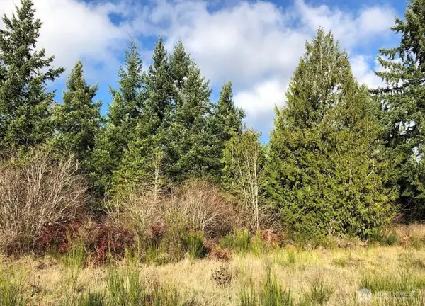 14623 Lindsay Loop Se, Yelm, WA 98597