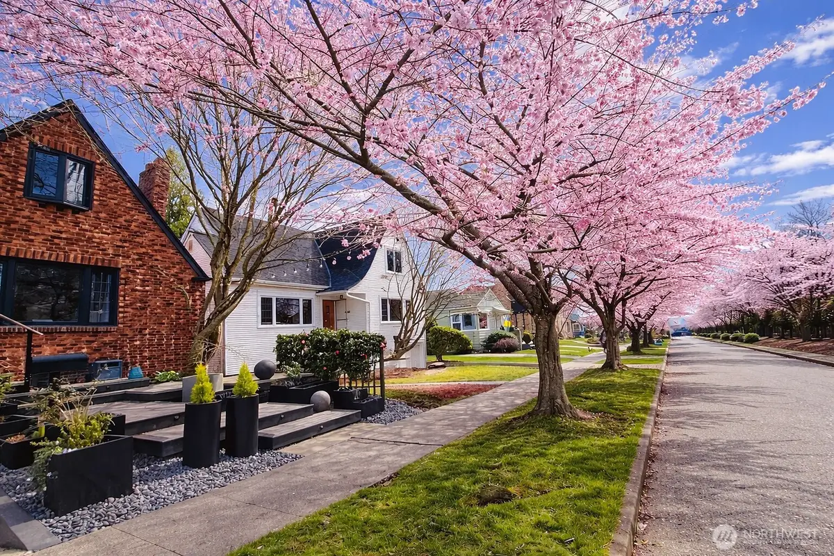 7736 33rd Ave Nw, Seattle, WA 98117 - #1