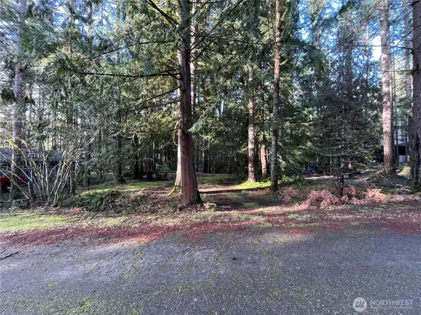 101 N Duckabush Loop W #27, Hoodsport, WA 98548