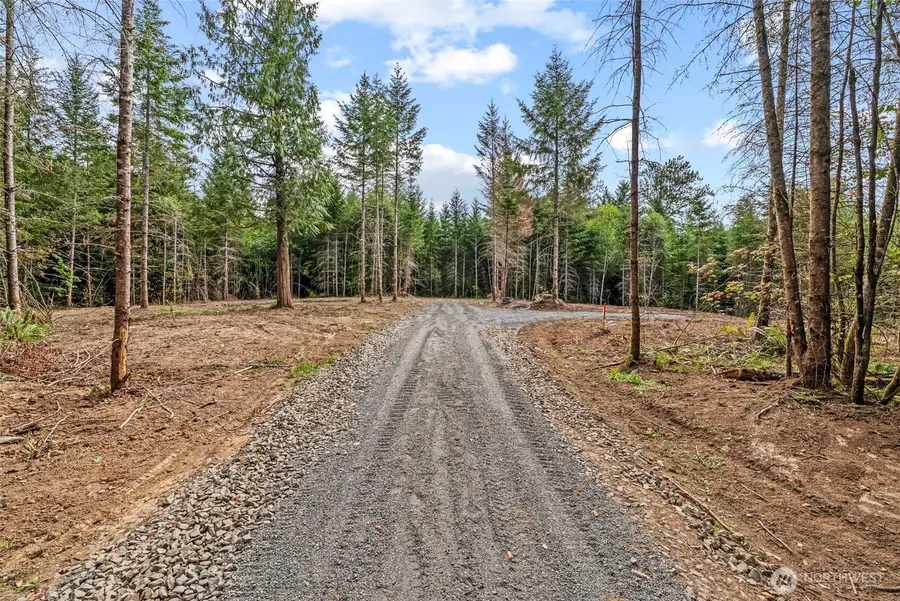 217 Durins Place, Castle Rock, WA 98611 - #3