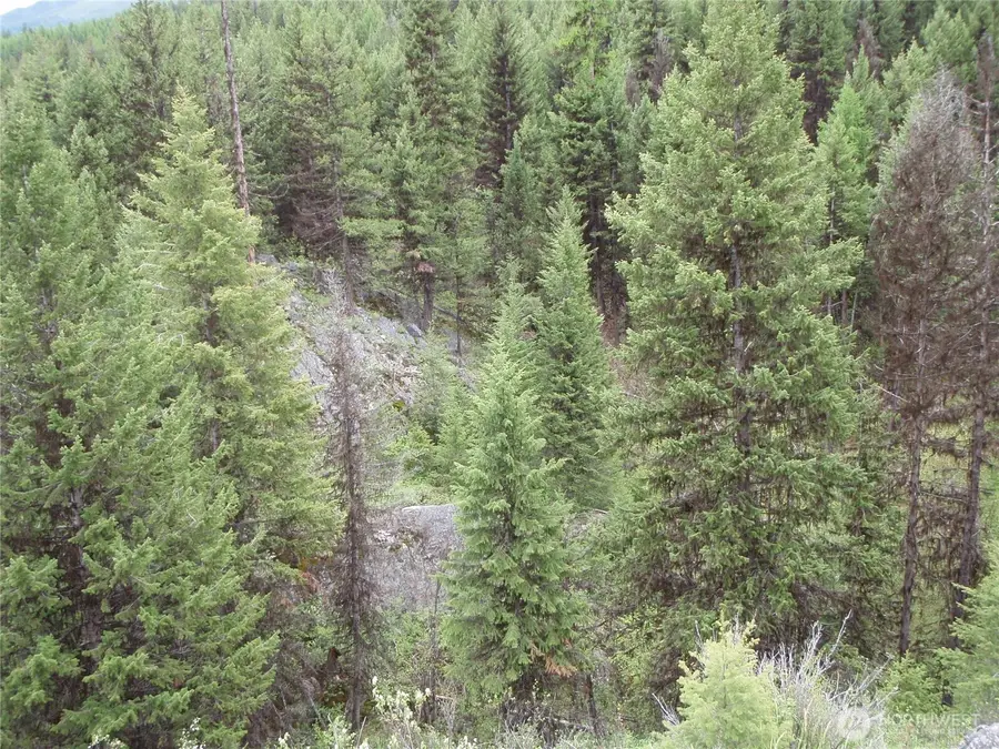 0 Edgewood Lane, Curlew, WA 99118 - #2