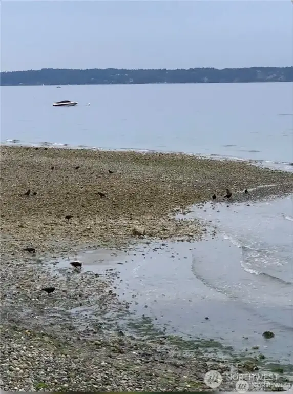 29020 1st Avenue S #17, Des Moines, WA 98198 - #2