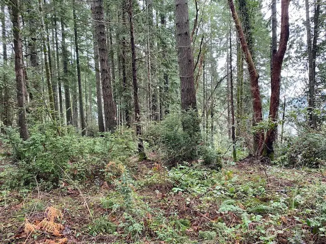 0 Elk Street, Shelton, WA 98584 - #1