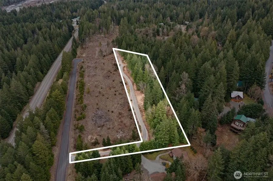134 Grizzly Road, Packwood, WA 98361 - #3