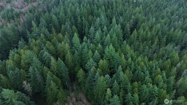 17425 Mcelroy Road, Arlington, WA 98223