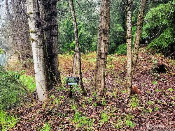 10115 226th Avenue Ct E, Buckley, WA 98321