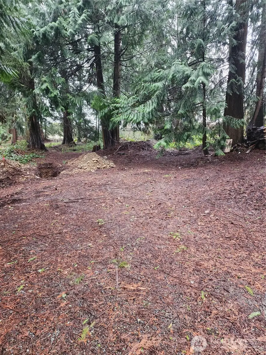 10115 226th Avenue Ct E, Buckley, WA 98321 - #3