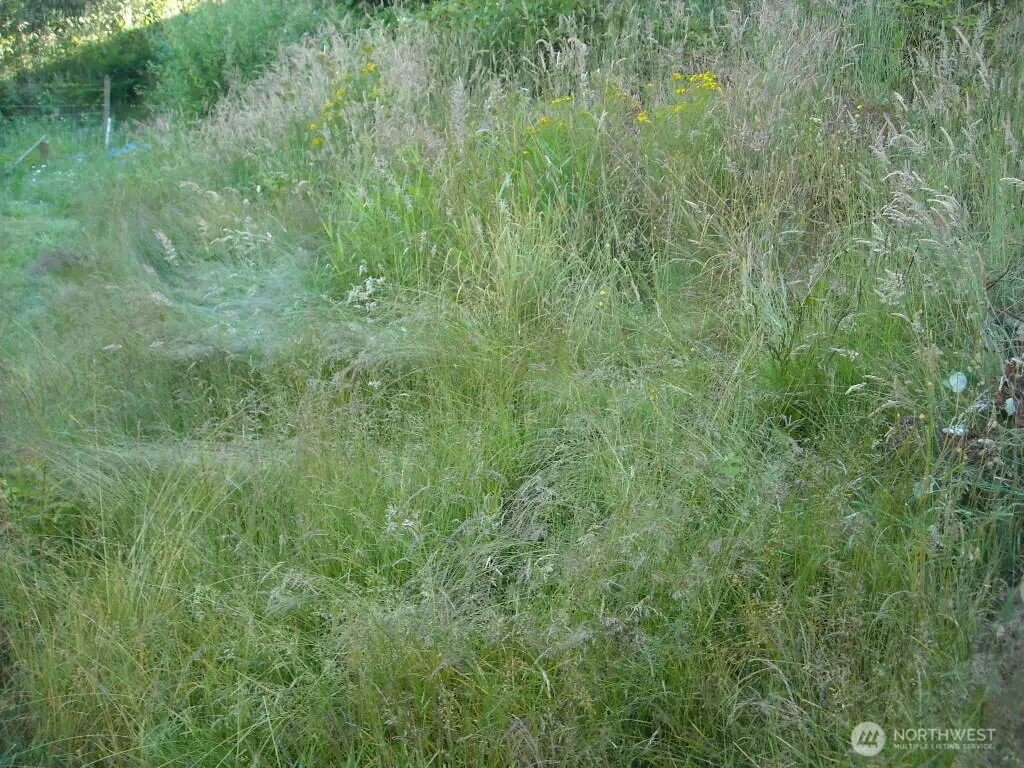 514 E 55th Street #1-7, Tacoma, WA 98404 - #1