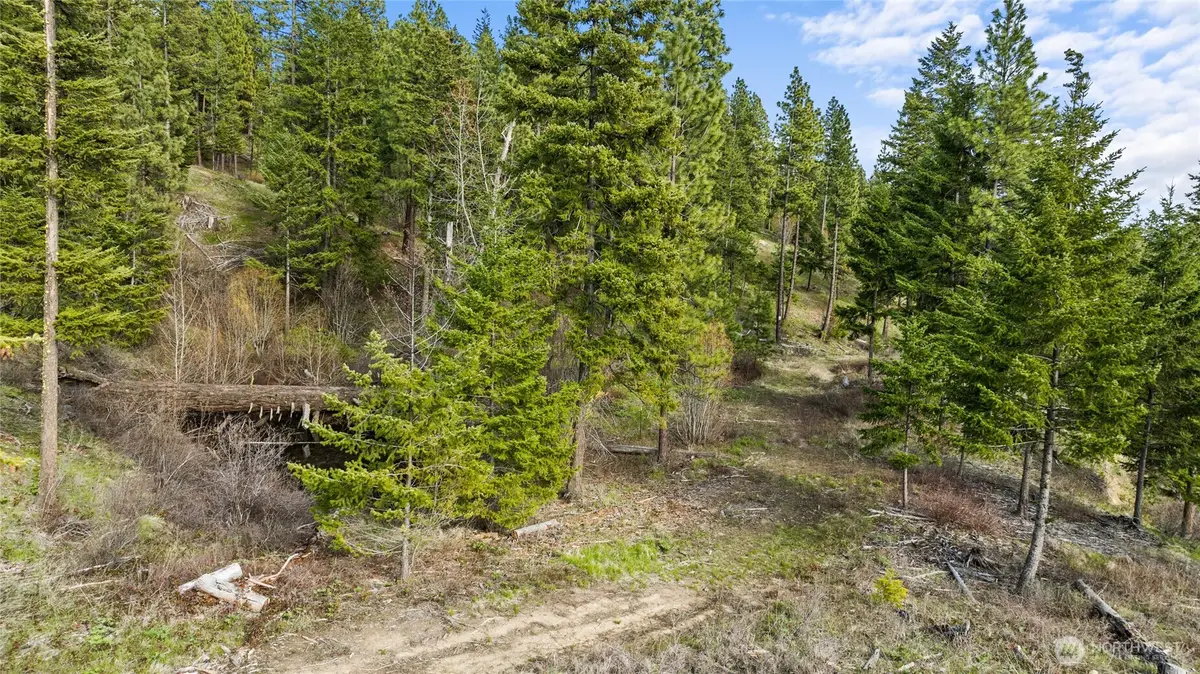0 Game Trail Road #6, Cle Elum, WA 98922 - #1