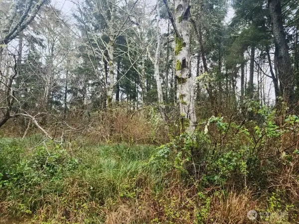 670 Weatherwax Loop Ne #11, Ocean Shores, WA 98569