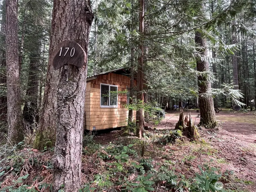 170 N Mount Washington Drive #42, Hoodsport, WA 98548 - #2