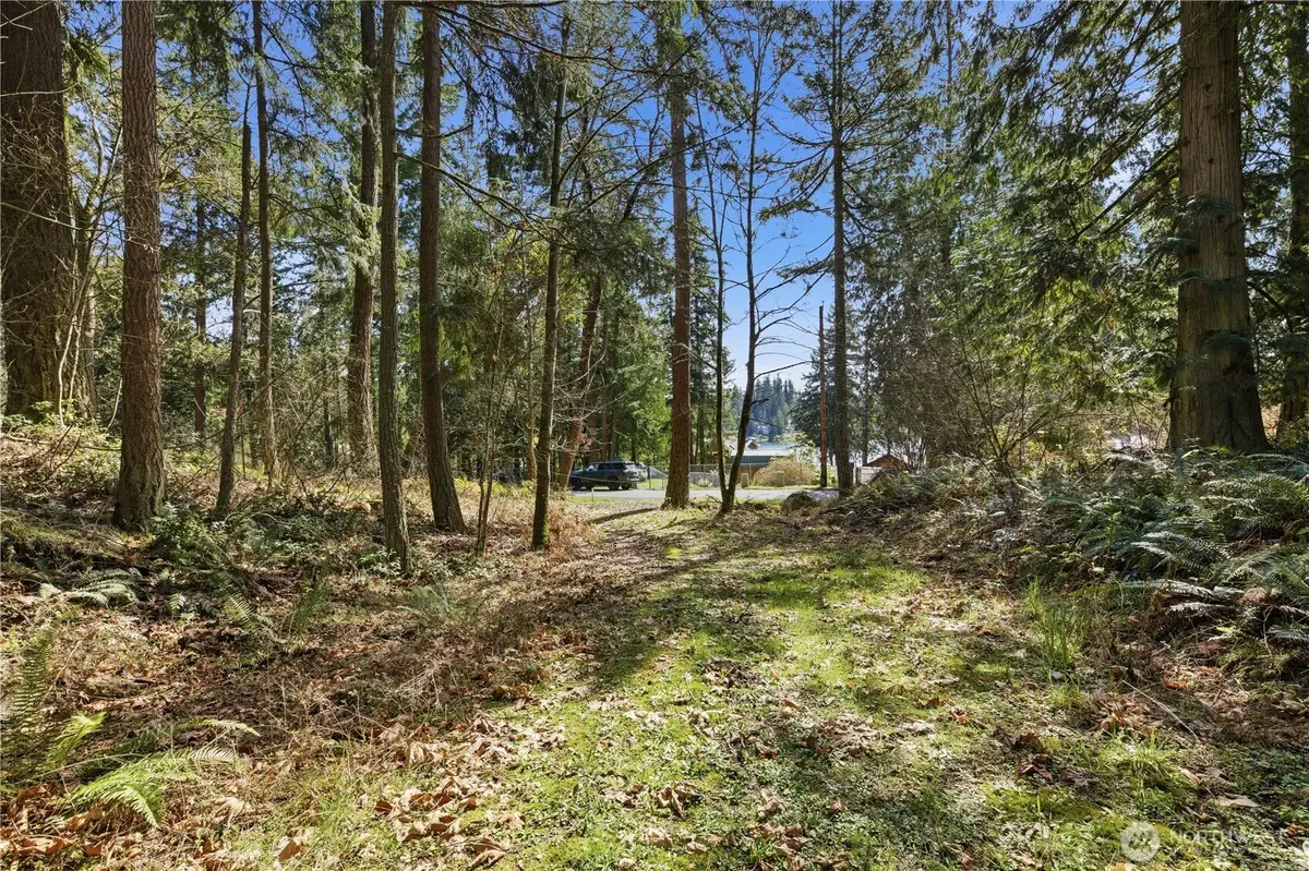 0 Clear Lake Road N, Eatonville, WA 98328 - #1