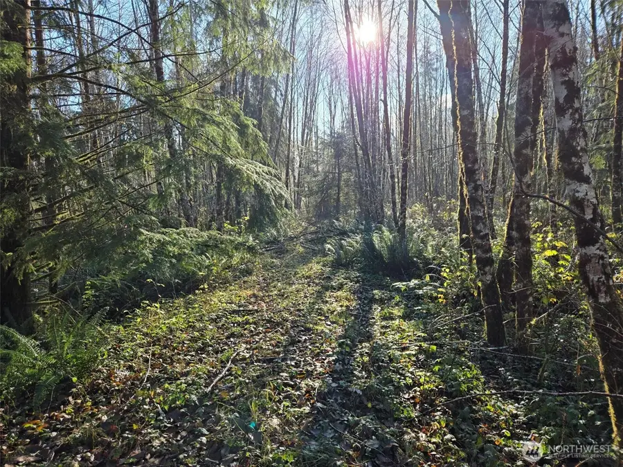 0 Fall River Road, Cosmopolis, WA 98537 - #3