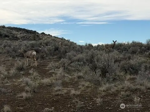 0 Stirrup Pl #12, Ephrata, WA 98823 - #1