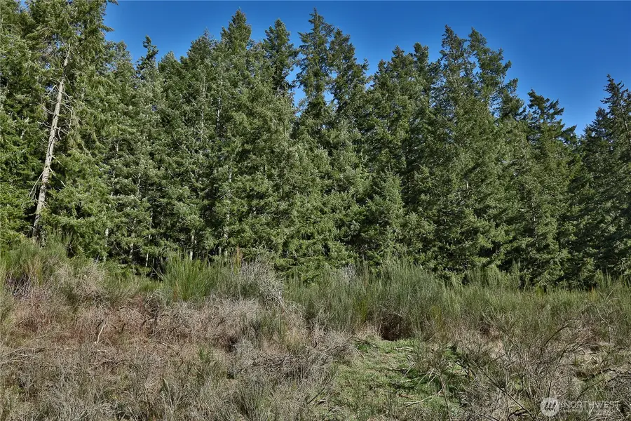 0 Sr 525 Road, Langley, WA 98260 - #3