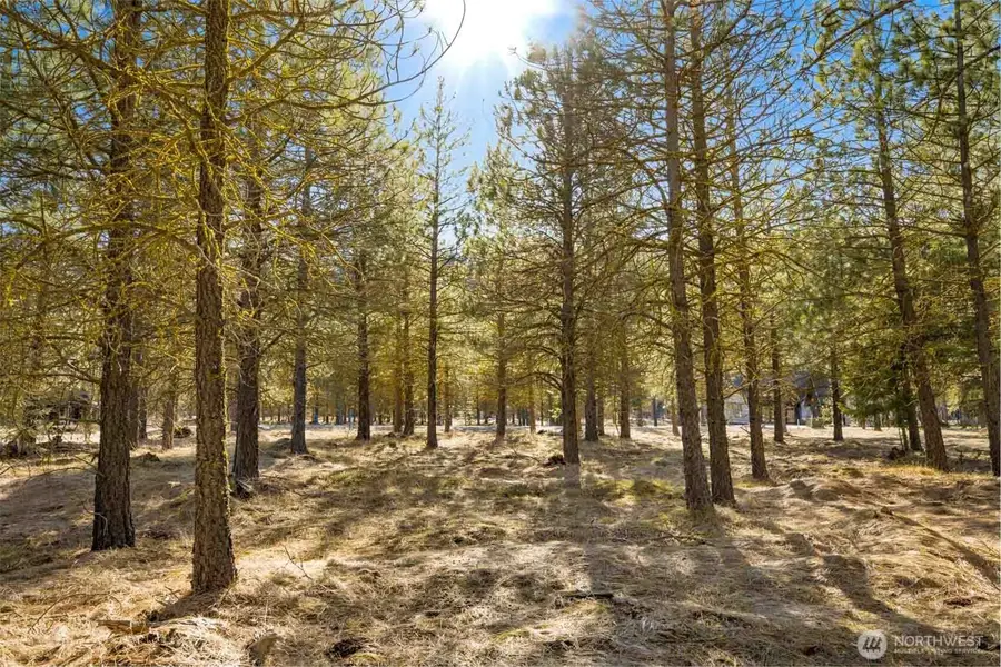 381 Gold Leaf Lane #28, Cle Elum, WA 98922 - #3