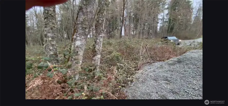 37116 E 103rd Avenue Ct, Eatonville, WA 98328 - #3