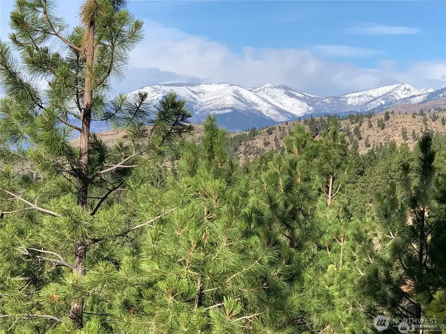 0 Cooper Mountain Road, Manson, WA 98831 - #2