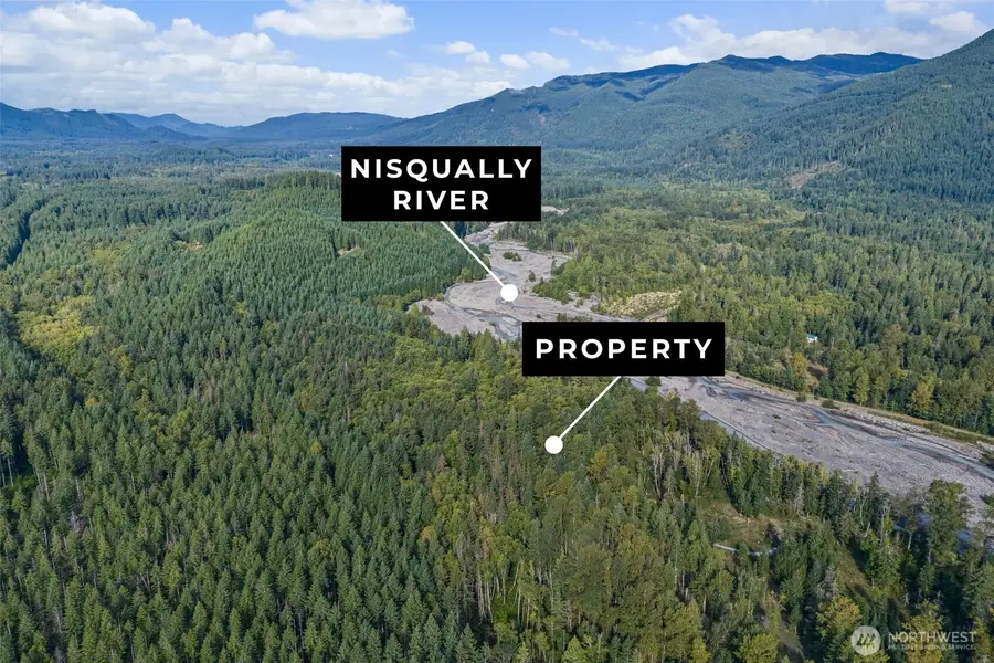 1 Skate Creek Road N #3, Morton, WA 98356 - #3