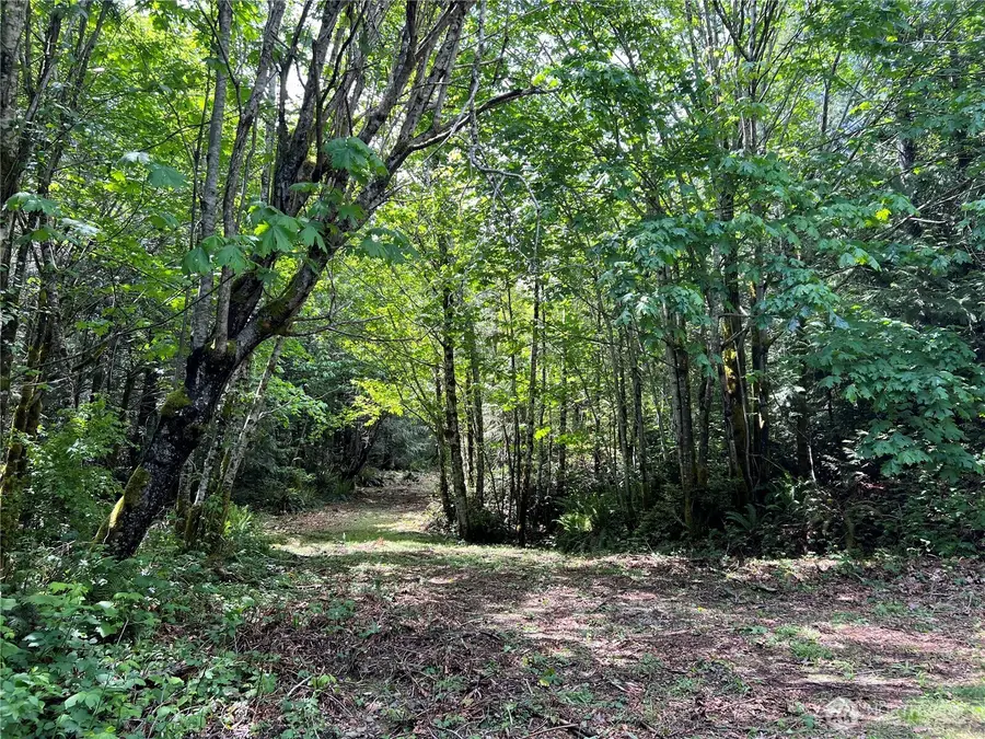 1 Juanita Drive #- -, Brinnon, WA 98320 - #2