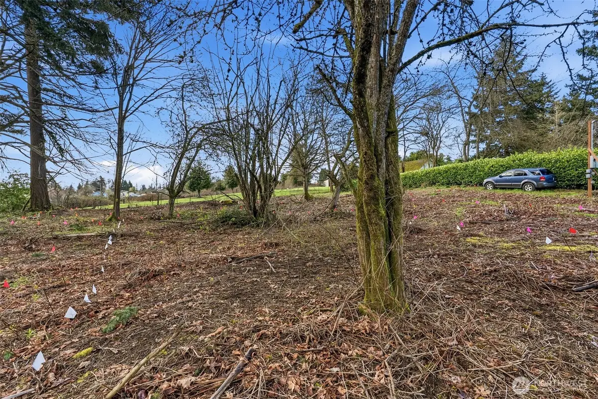 1406 E 44th Street #1, Tacoma, WA 98404 - #1