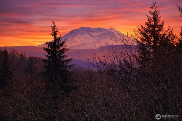 418 August Road #3, Onalaska, WA 98570