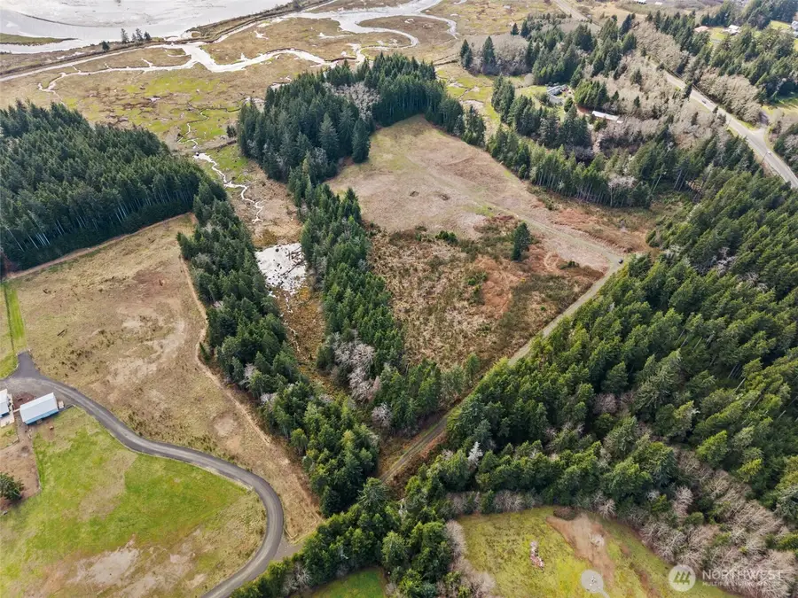 75 Bear Meadows Lane #LOT 1 OF LLS 21-1508, Aberdeen, WA 98520 - #2