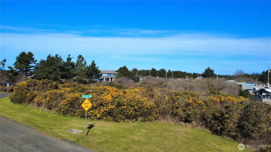 1 Francis Seamore Lane #6, Grayland, WA 98547 - #3