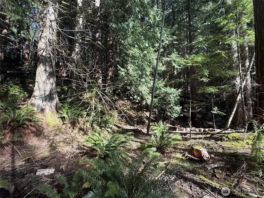 14 Granite Circle, Bellingham, WA 98229 - #2