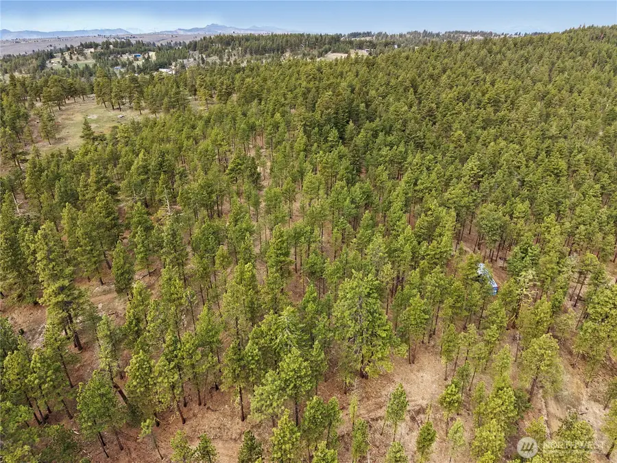 305 Sunrise Way, East Wenatchee, WA 98802 - #3