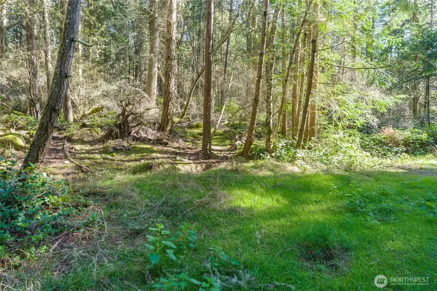 0 King's Point Road #10, Lopez Island, WA 98261 - #3