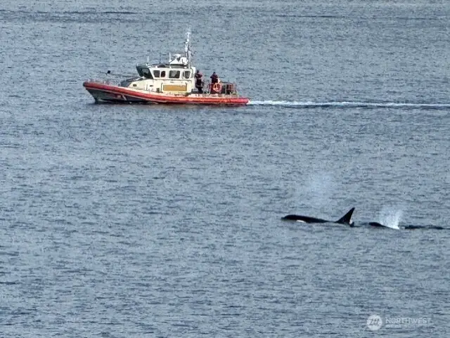 1374 Alki Avenue Sw #400, Seattle, WA 98116 - #3