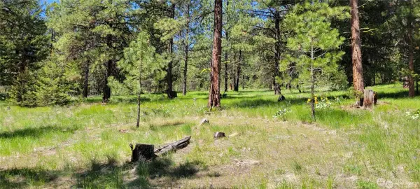 374 Bench Creek Road #10, Tonasket, WA 98855