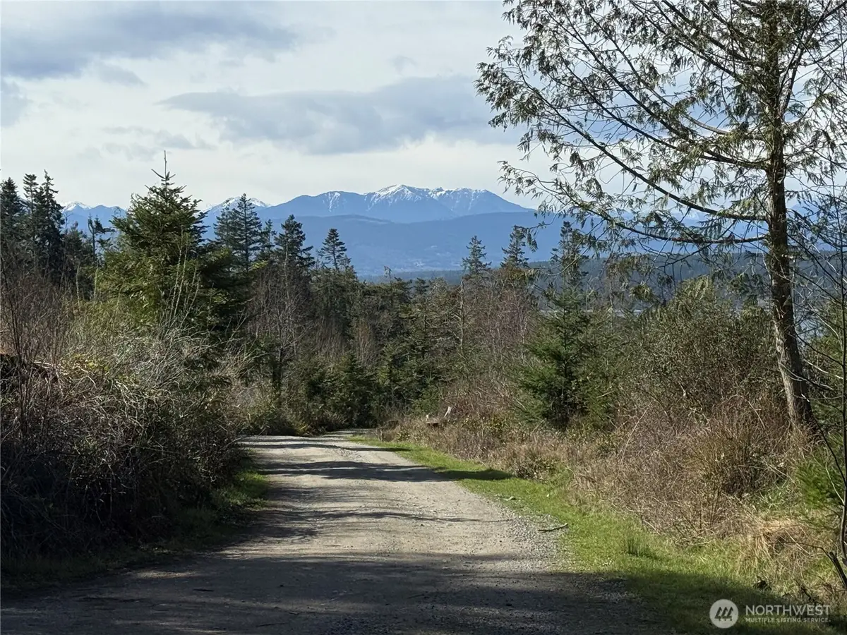 282 Drake Road, Port Townsend, WA 98368 - #1