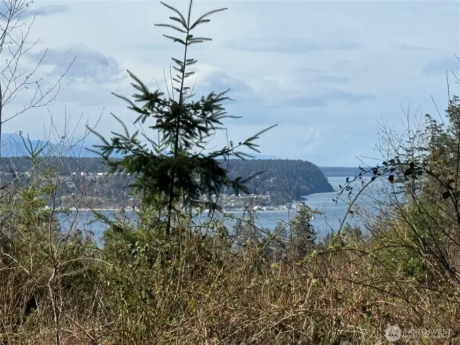 282 Drake Road, Port Townsend, WA 98368 - #2