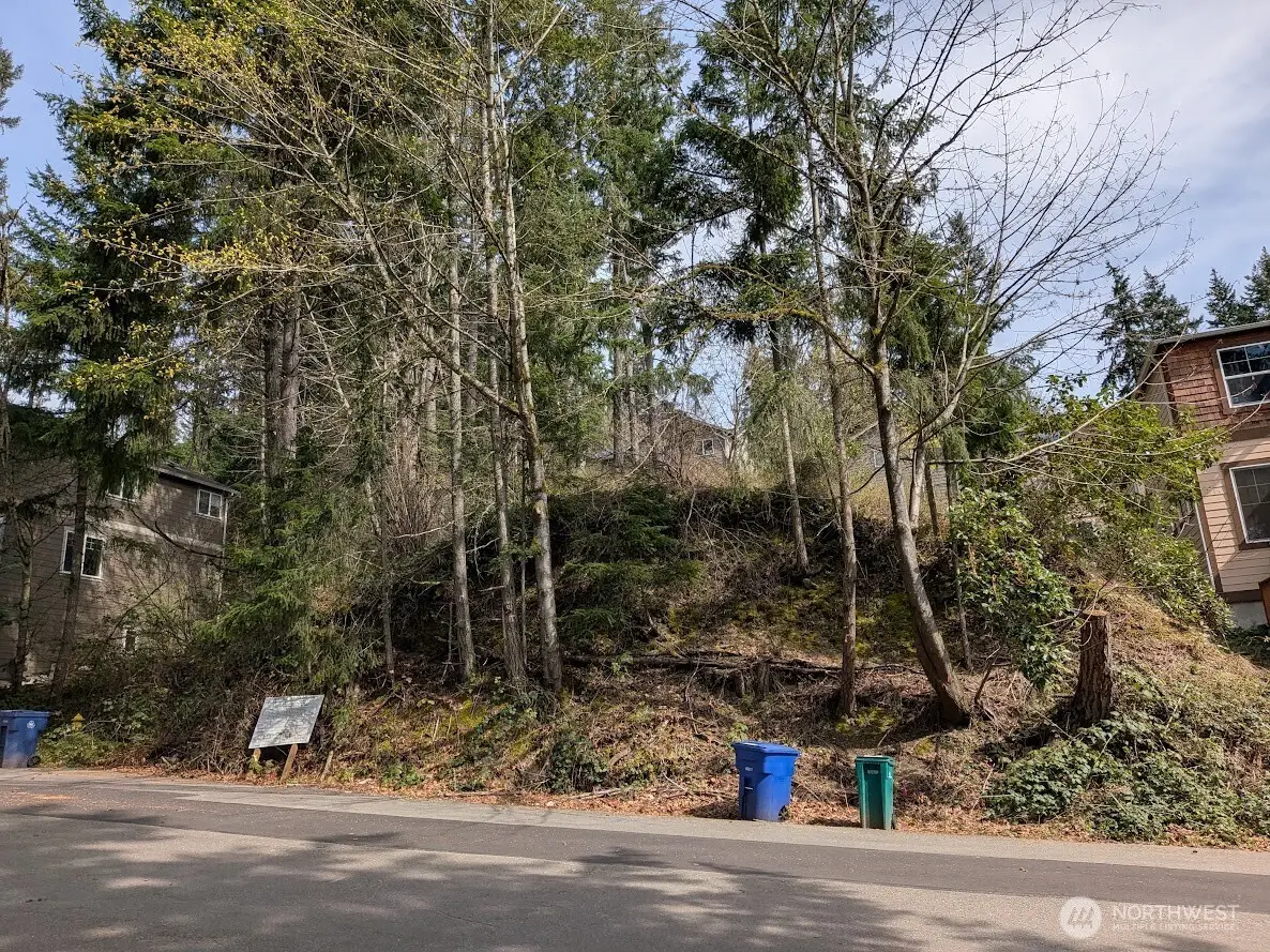 1324 211th Avenue Ne, Sammamish, WA 98074 - #1