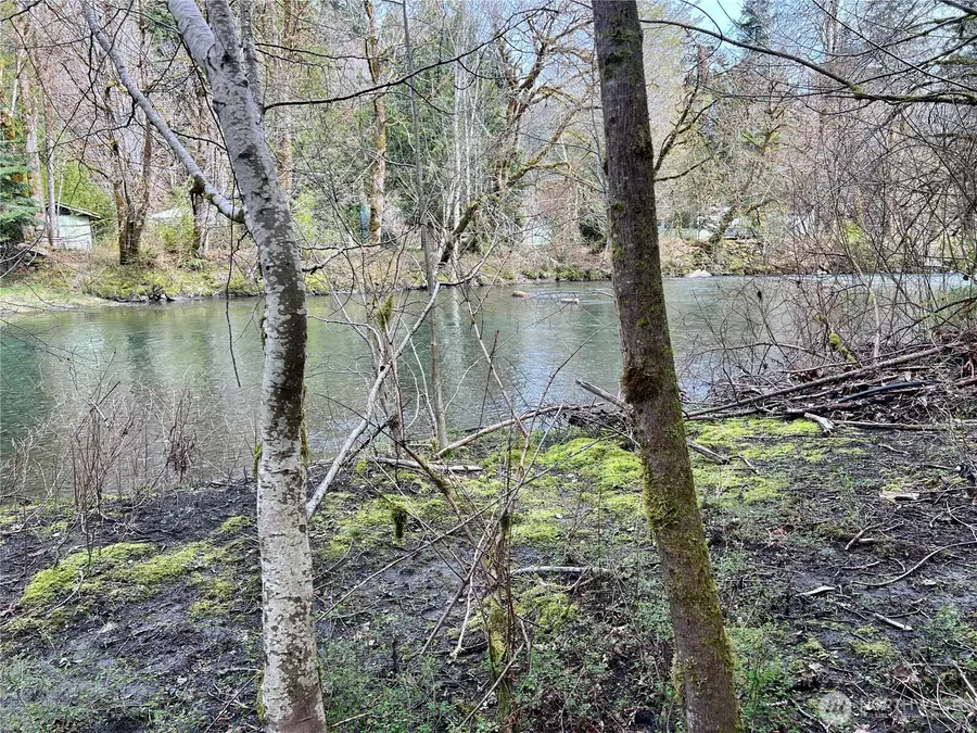 680 Mountain Trail #62, Brinnon, WA 98320 - #2